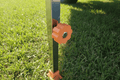 Smaller Turns Knobs For Adjustable legs - M5 thread - Forward Thinking Concepts